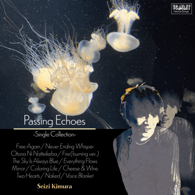 Passing Echoes -Single Collection-