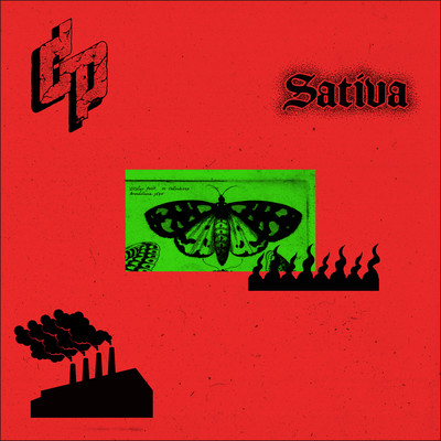 Sativa