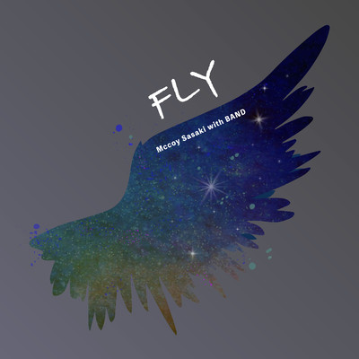 Fly