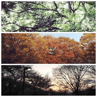 Early Days 2014-2015 (Original Soundtrack)