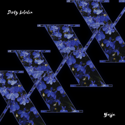 Dirty Lobelia