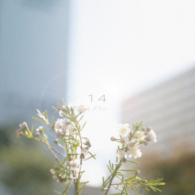 14