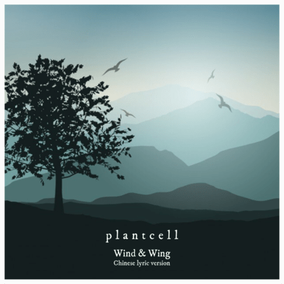 Wind & Wing (Chinese lyric version)