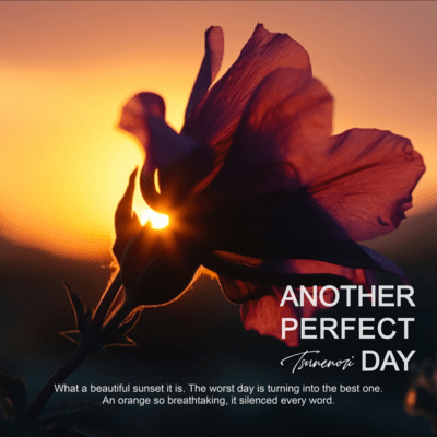 Another Perfect Day (2025 Ver.)