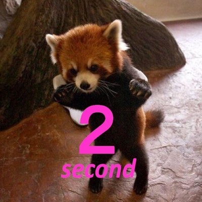 Star Sugar2 (Second)