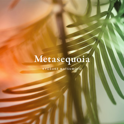 Metasequoia