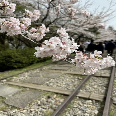 Kakushion (Ver.Band)