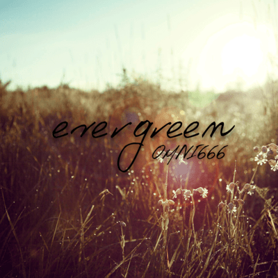 evergreen