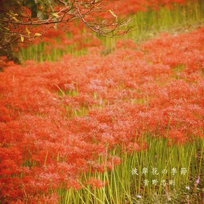 Season of Higanbana