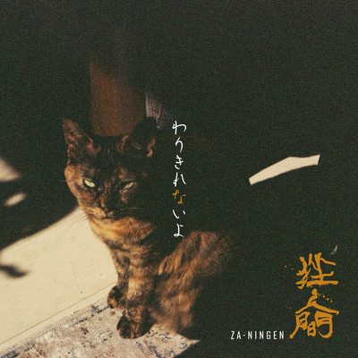 Warikirenaiyo