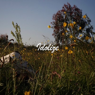 Idolize