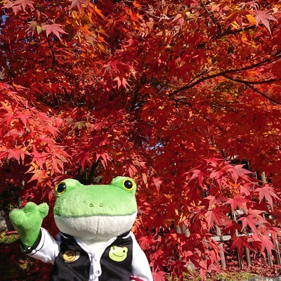 Funny adult serial number.