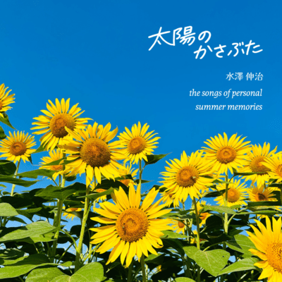 The Songs Of Personal Summer Momories