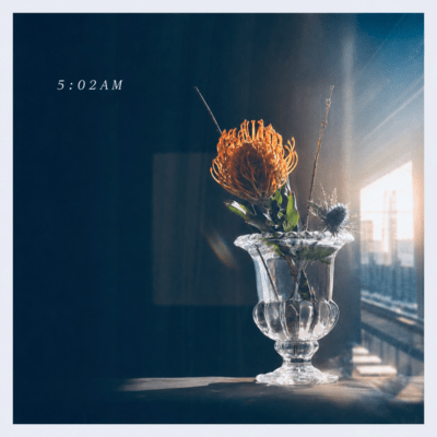 5:02AM (2026 Version)