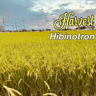 Harvest