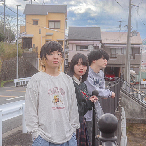 the purpurin