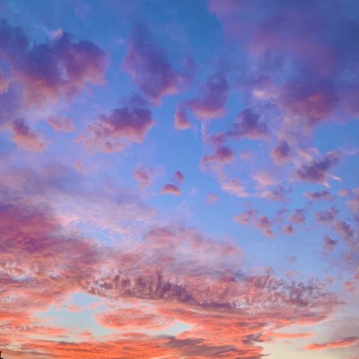 Terra Mater : I dedicate this song to you