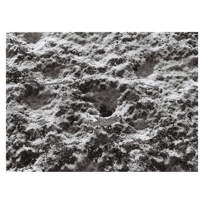 Spring Repeats Forever