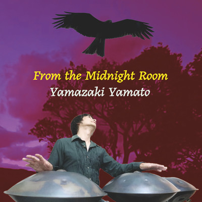 From the Midnight Room