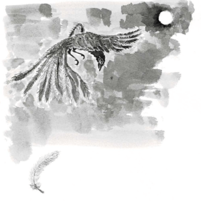 Single Winged Bird