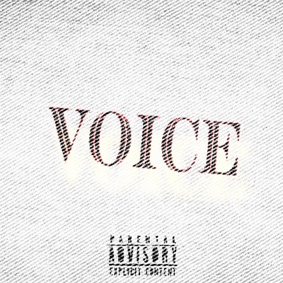 Voice