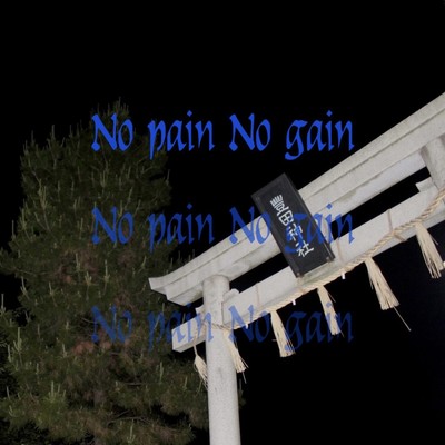No Pain No Gain (feat. RUNE999)