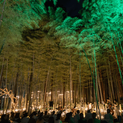 move on now (LIVE version -2025 TAGAMI Bam Boo Boo-)