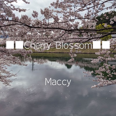 Cherry Blossom