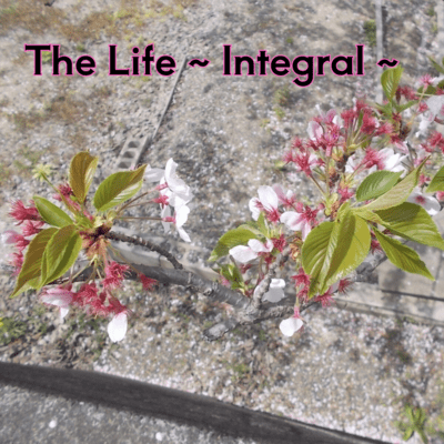 The Life ~ Integral ~