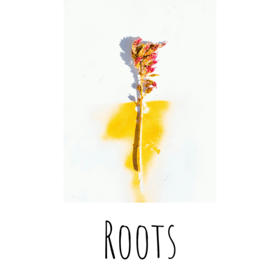 Roots