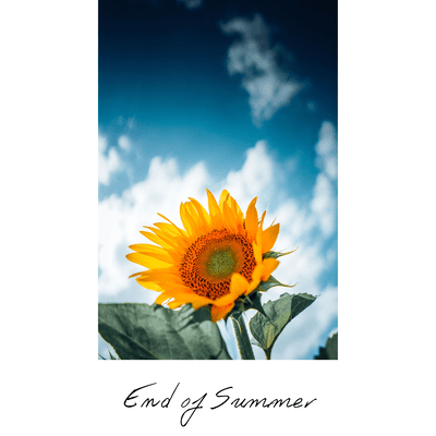 End of Summer