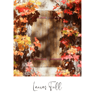 Leaves Fall