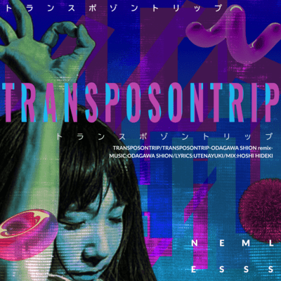 TRANSPOSONTRIP