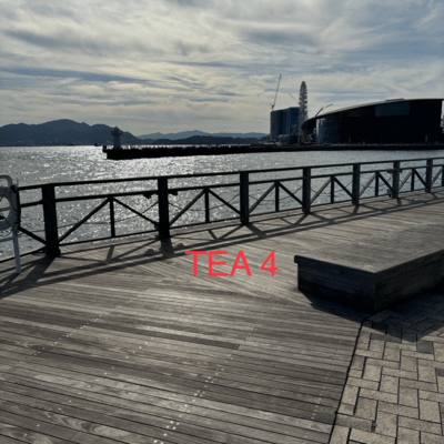 TEA4 (Off Vocal)