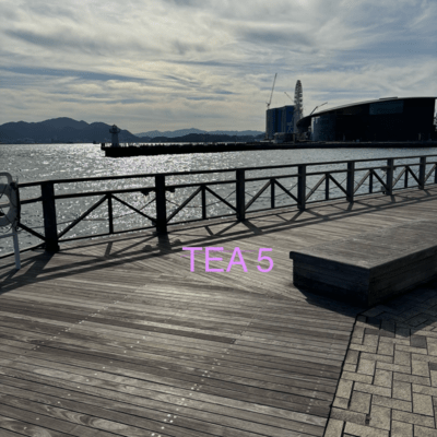 TEA5 (Off Vacal)
