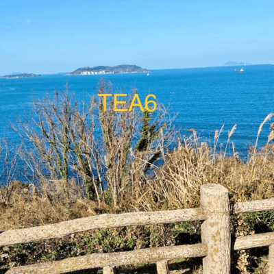 TEA6 (Off Vocal)