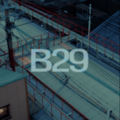 B29