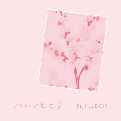Haru no Hikari
