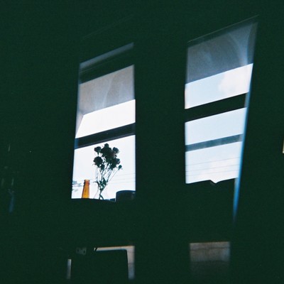 Blind