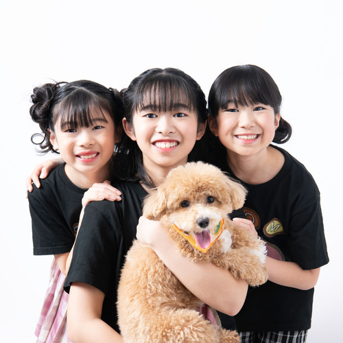 POM