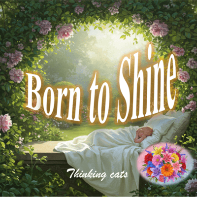Born to Shine (The Story (Instrumental))