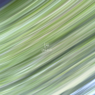 Verte