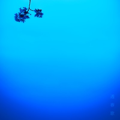 Pale Songs (Acoustic Ver.)