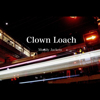 Clown Loach (Clown Loach)