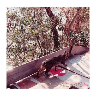 NEKO SONG