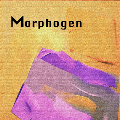 Morphogen