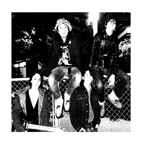 The PUBBY VIBRATIONs