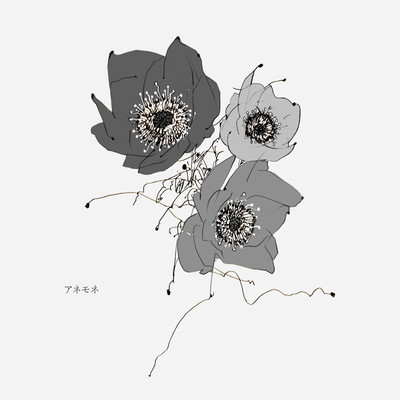 anemone