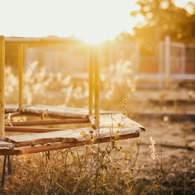 A Reunion Among a Thousand