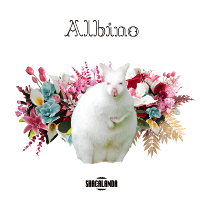 Albino